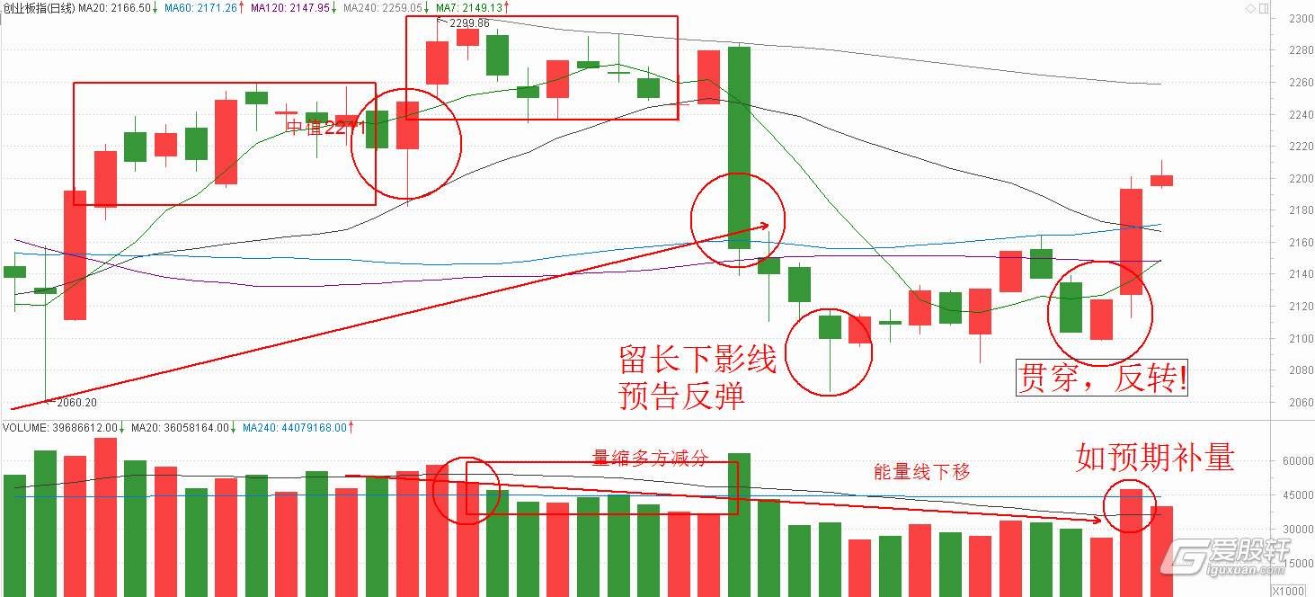 港南区：5000亩仙进奉荔枝即将上市